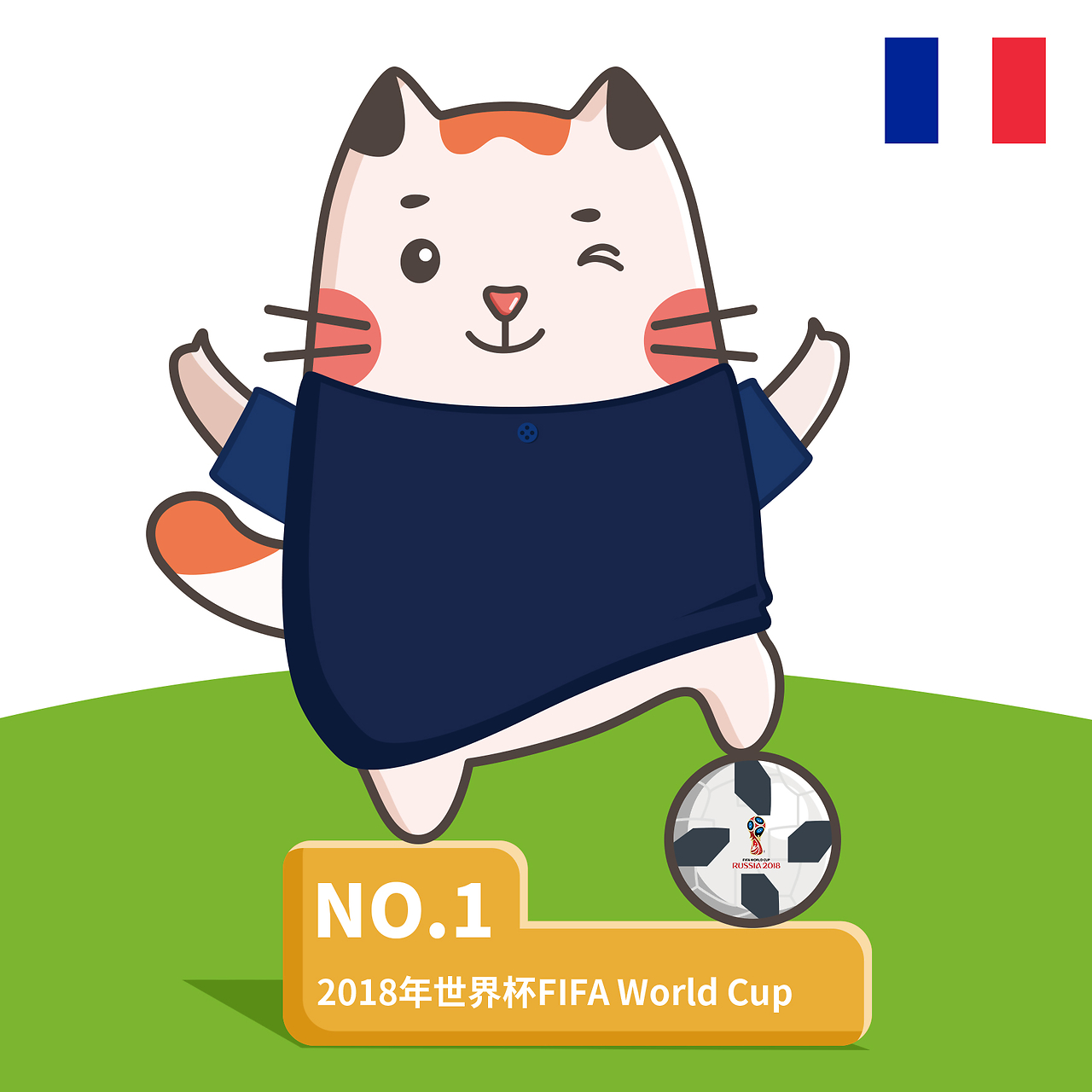 猛龙
